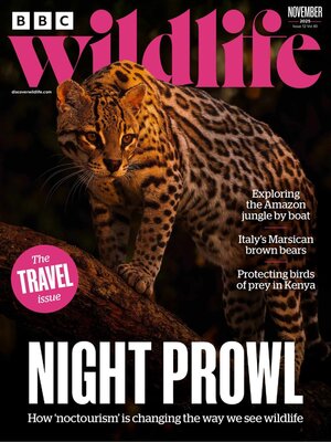 BBC Wildlife Magazine - Magazine